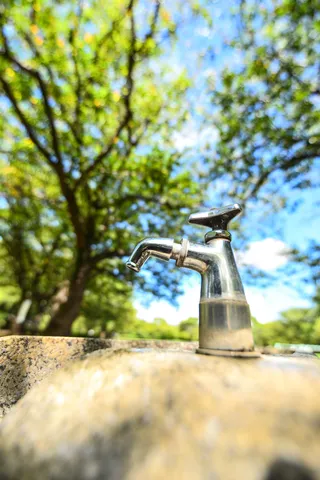 木漏れ日と水場の静寂