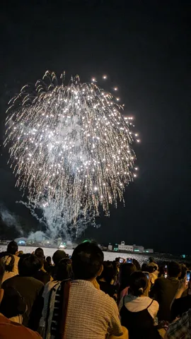 夏の夜空に咲く、一瞬の芸術