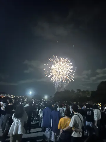 夜空を彩る光の芸術