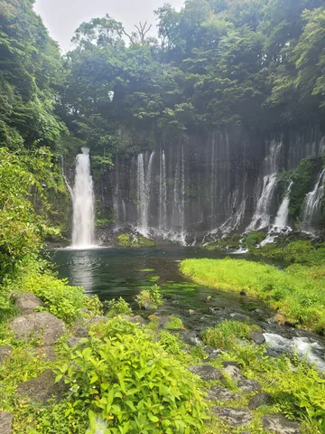 水音と緑の間の静寂