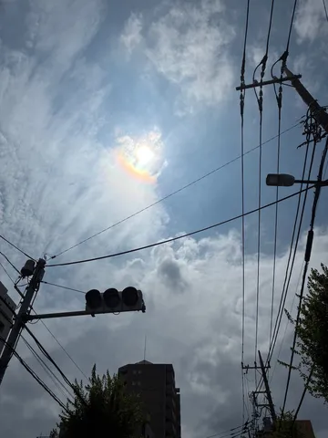 夏の日差し