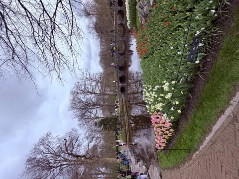 水面に映る景色と色鮮やかな花