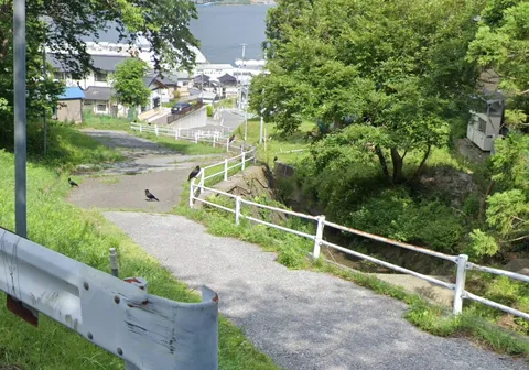 坂道の穏やかなドラマ