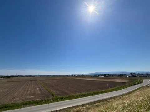 青空と畑の広がり