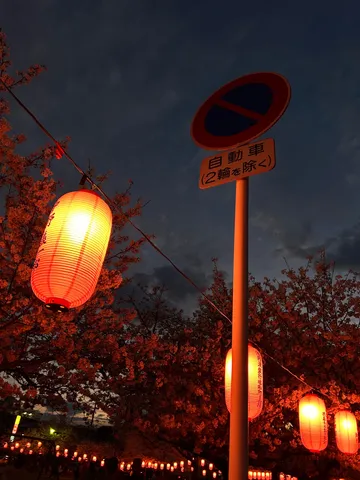 夜空に灯る、和の灯火