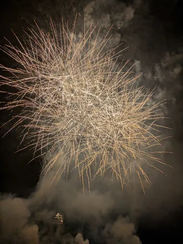 夜空を彩る黄金の光