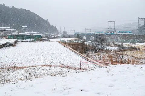 雪景色を駆け抜ける列車