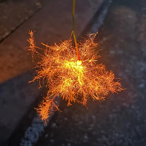 線香花火の儚い輝き