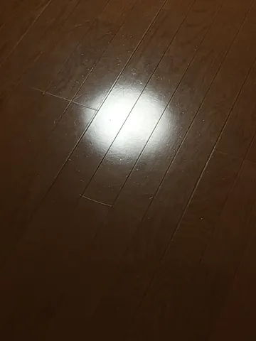 床の光の芸術