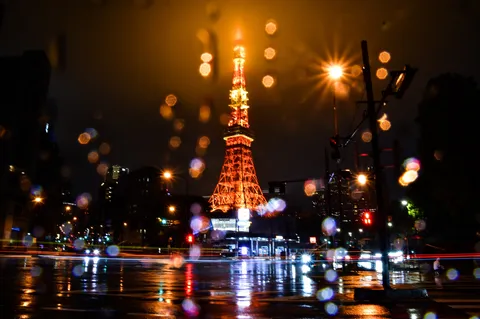 雨粒越しの東京タワー、光の饗宴