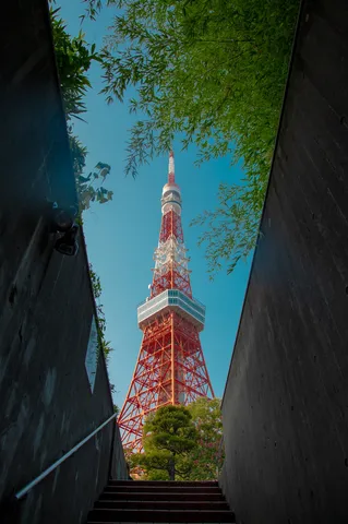 都会の隙間から見上げる赤い塔