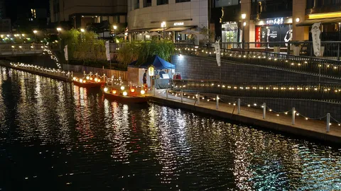 夜の水辺、光の祭典