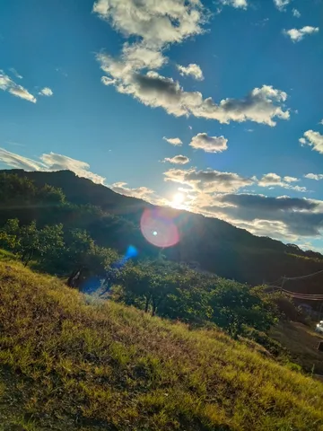 夕陽に照らされる山の緑