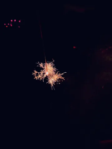 夜空を彩る一筋の光