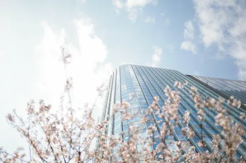 桜咲く都会のきらめき