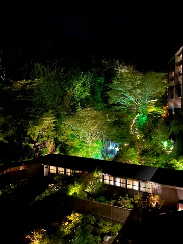 闇夜に浮かぶ、幻想的な灯りの庭園