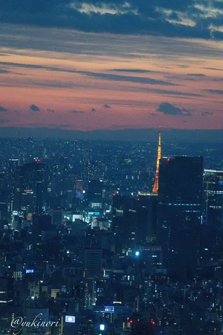 twilight sky over Tokyo city