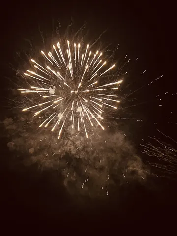 夜空を彩る花火の輝き