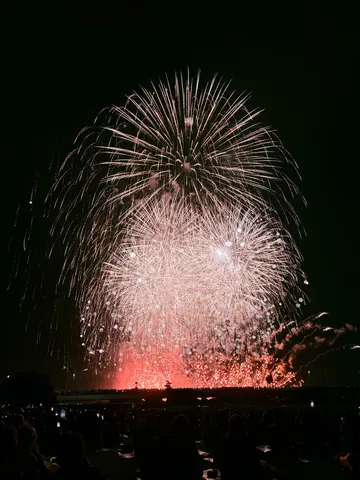 夜空を彩る光の絨毯