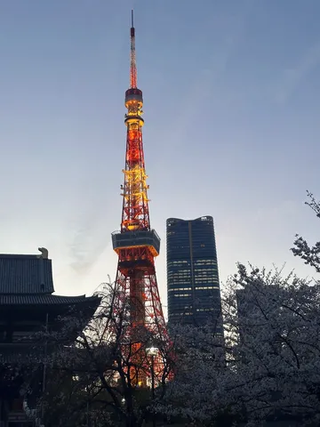 桜越しの光る塔
