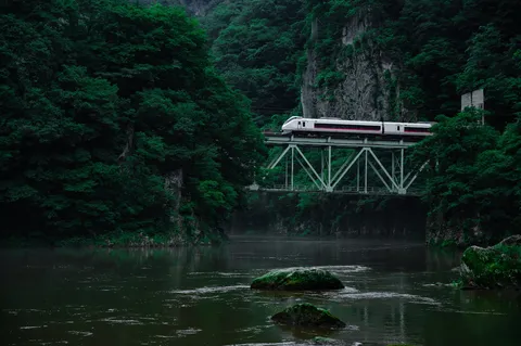 深緑の渓谷を行く白い列車