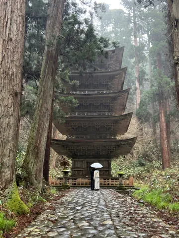 霧の森に佇む五重塔