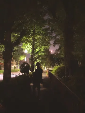 夜道に佇む一人