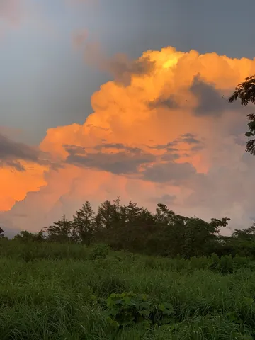 夕焼けに染まる雲の壮大さ