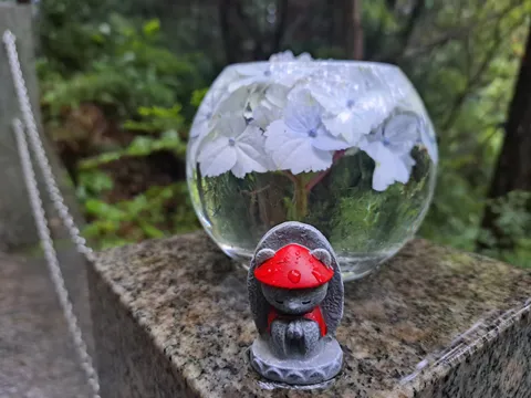 球体に映る静かな花の気配
