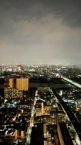 夜が創る首都と川のコラボレーション
