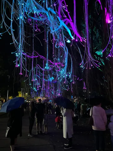 幻想的な光のトンネル