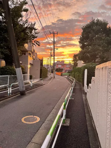 夕暮れの小径に光