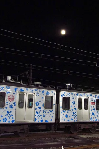 夜の青い花が走る電車