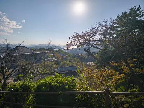 光と影の丘の風景
