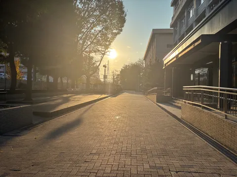 夕暮れ時のキャンパスロード