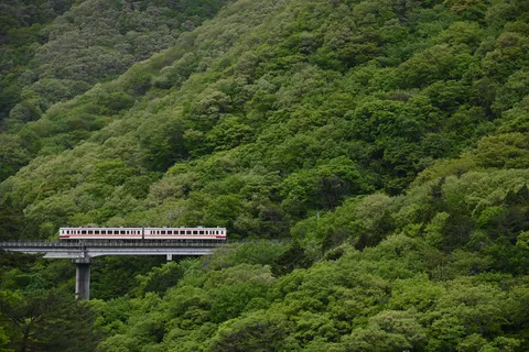 新緑の山を駆ける列車