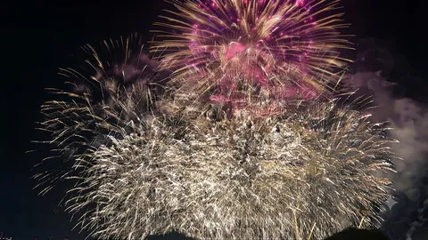夜空を彩る光の饗宴