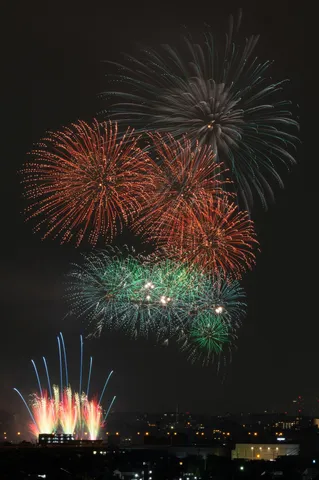 夜空を彩る光の華