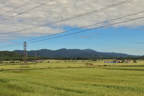緑広がる田園と電線、遠くの山並み