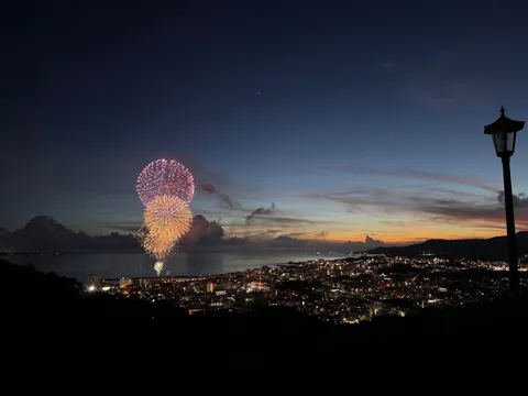 街の灯りと夜空の華
