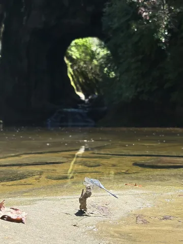 静寂と神秘のトンネル