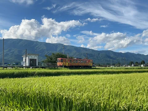彩りの列車、実りの田園をゆく