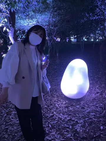 光る卵と魔法の夜
