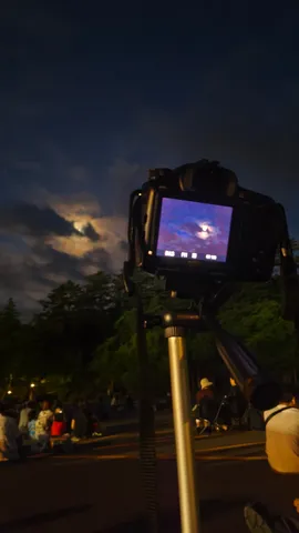 夜空を映す、静かなる瞬間