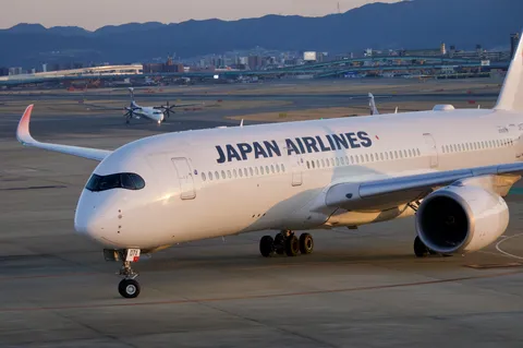 日本の翼、夕景に映える