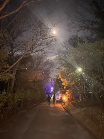月明かりが照らす、幻想的な小道