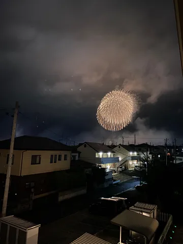 夜空に咲いた一輪の花
