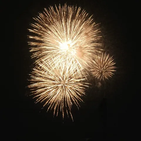 夜空を染める黄金の花火