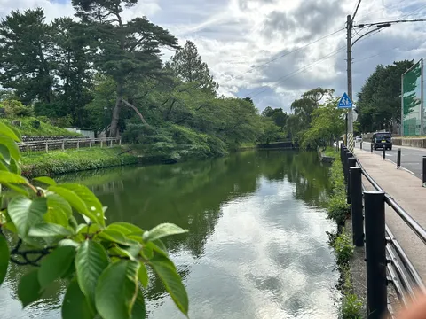 新緑の小道と静かな水面