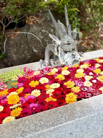 竜と花、水の戯れ